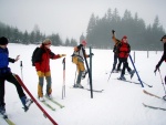 Pr fotek ze Zkladn kurzu Skialpinismu, Velmi dobr snhov podmnky (pranek) provili astnky a jejich lyask schopnosti. Lavinov riziko posuzovali vichni za ndhernho poas a tak mrz vydepat jen jednu astnici... - fotografie 17