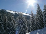 KITZBHL SKIALPARENA, Snhov nez zakonen aurovm poasm a prav alpsk podmnky v kombinaci se skvlou partou. Prost pohoda. - fotografie 65