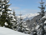 KITZBHL SKIALPARENA, Snhov nez zakonen aurovm poasm a prav alpsk podmnky v kombinaci se skvlou partou. Prost pohoda. - fotografie 71