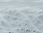 KITZBHL SKIALPARENA, Snhov nez zakonen aurovm poasm a prav alpsk podmnky v kombinaci se skvlou partou. Prost pohoda. - fotografie 109