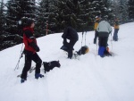 Skialpy v Kitz arn, Jarn akce s mlhou, aurem, oteplenm a i ochlazenm. Vysok lavinov riziko (stupe IV) a disciplinovan parta + vborn lyai. No prost Skialpov nhul. - fotografie 5