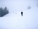 Skialpy v Kitz arn, Jarn akce s mlhou, aurem, oteplenm a i ochlazenm. Vysok lavinov riziko (stupe IV) a disciplinovan parta + vborn lyai. No prost Skialpov nhul. - fotografie 12