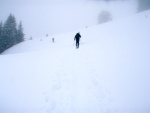 Skialpy v Kitz arn, Jarn akce s mlhou, aurem, oteplenm a i ochlazenm. Vysok lavinov riziko (stupe IV) a disciplinovan parta + vborn lyai. No prost Skialpov nhul. - fotografie 14