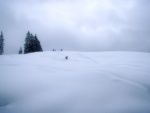 Skialpy v Kitz arn, Jarn akce s mlhou, aurem, oteplenm a i ochlazenm. Vysok lavinov riziko (stupe IV) a disciplinovan parta + vborn lyai. No prost Skialpov nhul. - fotografie 55