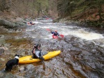 RAFTING A YUKONY NA JIZEE, V sobotu i v nedli pjemn voda... Dkujeme Krakonoi! - fotografie 64