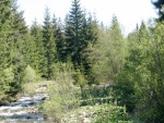 Tatransk vkend na Bel 2009, Podtatransk pohoda nsoben azurovovou nedl. - fotografie 143