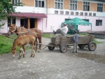 EKY ZAKARPATSK UKRAJINY, Vude prelo i na ukrajin sprchlo, ale jinak slunce, teplo a ndhera!Kdo nev, e jin kraj jin mrav, at se tam jede podvat. - fotografie 45