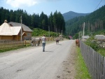 EKY ZAKARPATSK UKRAJINY, Vude prelo i na ukrajin sprchlo, ale jinak slunce, teplo a ndhera!Kdo nev, e jin kraj jin mrav, at se tam jede podvat. - fotografie 110