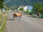 EKY ZAKARPATSK UKRAJINY, Vude prelo i na ukrajin sprchlo, ale jinak slunce, teplo a ndhera!Kdo nev, e jin kraj jin mrav, at se tam jede podvat. - fotografie 131