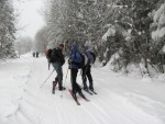 Pr fotek ze Zkladnho kurzu SKIALPINISMU, Konen jsou opt skvl podmnky pro tento ndhern sport: spousty praanu, drobn snen, tmov pohoda, vborn podmnky pro lavinov blok, no prost luxus! A to osobn zlepen u vech pi jzd  - fotografie 34