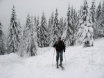 Pr fotek ze Zkladnho kurzu SKIALPINISMU, Konen jsou opt skvl podmnky pro tento ndhern sport: spousty praanu, drobn snen, tmov pohoda, vborn podmnky pro lavinov blok, no prost luxus! A to osobn zlepen u vech pi jzd  - fotografie 36