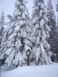 Pr fotek ze Zkladnho kurzu SKIALPINISMU, Konen jsou opt skvl podmnky pro tento ndhern sport: spousty praanu, drobn snen, tmov pohoda, vborn podmnky pro lavinov blok, no prost luxus! A to osobn zlepen u vech pi jzd  - fotografie 60