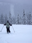 Pr fotek ze Zkladnho kurzu SKIALPINISMU, Konen jsou opt skvl podmnky pro tento ndhern sport: spousty praanu, drobn snen, tmov pohoda, vborn podmnky pro lavinov blok, no prost luxus! A to osobn zlepen u vech pi jzd  - fotografie 67