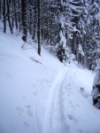 Pr fotek ze Zkladnho kurzu SKIALPINISMU, Konen jsou opt skvl podmnky pro tento ndhern sport: spousty praanu, drobn snen, tmov pohoda, vborn podmnky pro lavinov blok, no prost luxus! A to osobn zlepen u vech pi jzd  - fotografie 103