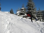 Fotky z poslednho lednovho skialp kurzu, Krakono konen dostal rozum a seslal bohatou praanovou nadlku. V sobotu doslova snhov masakr a v nedli super podmnky pro lavinov blok... - fotografie 60