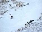 EXPERT AVALANCHE - pr fotek z lavinovho kurzu, Skvl poas a dobr podmnky. Snhu by sice mohlo bt vc, ale laviny byly. - fotografie 61