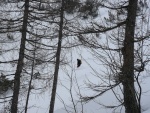 DO SRDCE NZKCH TAUR, Ndhern oblast, vivn poas a lavinovka na hran... a k tomu naprosto skvl atmosfra chaty u Giglachsee. A vude sam praan, jen kdyby na nj bylo podn vidt. - fotografie 109