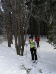 PR FOTEK ZE ZKLADNHO KURZU SKIALPINISMU, Tak takhle m vypadat prav zima. Pardn podmnky v pardn part. Take tu mme zase 9 novch skialpinist.. - fotografie 35