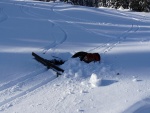 PR FOTEK ZE ZKLADNHO KURZU SKIALPINISMU, Tak takhle m vypadat prav zima. Pardn podmnky v pardn part. Take tu mme zase 9 novch skialpinist.. - fotografie 46