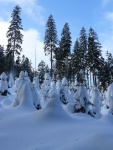 PR FOTEK ZE ZKLADNHO KURZU SKIALPINISMU, Tak takhle m vypadat prav zima. Pardn podmnky v pardn part. Take tu mme zase 9 novch skialpinist.. - fotografie 99