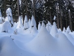 PR FOTEK ZE ZKLADNHO KURZU SKIALPINISMU, Tak takhle m vypadat prav zima. Pardn podmnky v pardn part. Take tu mme zase 9 novch skialpinist.. - fotografie 100