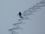 Silvretta 2010, Promnliv poas, praanov nadlka, fajn parta a hlavn spousta lapn a sjezd... - fotografie 89