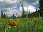 Passo Falzarego 2010, Pardn poas, ideln vyladn forma a lezen veho druhu. Tenikou byl 500 metr dlouh vstup na Prvn pil Tofany.... - fotografie 30