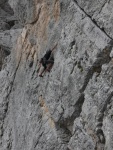 Passo Falzarego 2010, Pardn poas, ideln vyladn forma a lezen veho druhu. Tenikou byl 500 metr dlouh vstup na Prvn pil Tofany.... - fotografie 71