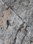 Passo Falzarego 2010, Pardn poas, ideln vyladn forma a lezen veho druhu. Tenikou byl 500 metr dlouh vstup na Prvn pil Tofany.... - fotografie 72