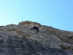 Passo Falzarego 2010, Pardn poas, ideln vyladn forma a lezen veho druhu. Tenikou byl 500 metr dlouh vstup na Prvn pil Tofany.... - fotografie 92