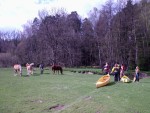 PLOUNICE - vkendov plavba, Tajemn eka se skalnm tunelem meandrujc kousek od Mchova jezera snovou krajinou plnou romatickch zkout... jako by tudy vera proel Mcha... - fotografie 10