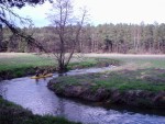 PLOUNICE - vkendov plavba, Tajemn eka se skalnm tunelem meandrujc kousek od Mchova jezera snovou krajinou plnou romatickch zkout... jako by tudy vera proel Mcha... - fotografie 31