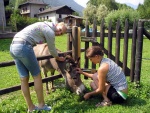 NOCA, krlovna raftingu - Nejlep evropsk rafting na ekch NOCA, Isel a Isarco, Velk parta vodk, s ktermi u jsme lecos proili. Pardn eky, kopec dobr nlady a hejiv italsk slunce.  I vodn stavy byly na jedniku... - fotografie 105