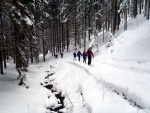 ZKLADN KURZ SKIALPINISMU, Dky pardnmu nstupu zimy, byl prvn kurz na sezony skvl, k emu tak pispli vichni astnci. - fotografie 6