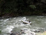 Alpsk supervkend - Isel a Salzach - podzim 2010, Pedpov poas byla sice pesimistick, natst skutenost jin. Se slbenm detm se stdaly i proslunn chvle. Dky tomu byla i na podzim voda suprov jako pi jarnm tn. Zejmna Salzach ns - fotografie 131