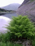 SLOVENSK LETN PERLY: Vh, Orava, Dunajec, Poprad a Hron, Jeden z nejbjenjch zjezd v na nabdce. Ukzkov galerie, fotky jsou z nkolika zjezd od roku 1999 - fotografie 53