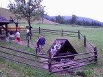 SLOVENSK LETN PERLY: Vh, Orava, Dunajec, Poprad a Hron, Jeden z nejbjenjch zjezd v na nabdce. Ukzkov galerie, fotky jsou z nkolika zjezd od roku 1999 - fotografie 147