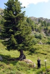 Raftov klenoty vcarska - VORDERRHEIN A ENGADIN, ervencov slunce 