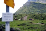 Raftov klenoty vcarska - VORDERRHEIN A ENGADIN, ervencov slunce 