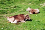 Raftov klenoty vcarska - VORDERRHEIN A ENGADIN, ervencov slunce 