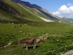 Raftov klenoty vcarska - VORDERRHEIN A ENGADIN, ervencov slunce 