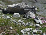 Raftov klenoty vcarska - VORDERRHEIN A ENGADIN, ervencov slunce 