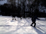 Zkladn KURZ SKIALPINISMU, Poas vypadalo strali, ale nakonec se z toho vyvinula ndhern akcika s pardnm poasm. Nedln krusta, byla pn hust.. - fotografie 3