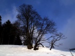 Zkladn KURZ SKIALPINISMU, Poas vypadalo strali, ale nakonec se z toho vyvinula ndhern akcika s pardnm poasm. Nedln krusta, byla pn hust.. - fotografie 4