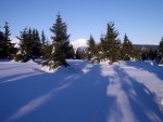 SKIALPINISMUS - zkladn kurz v Krkonoch, Pr foteek namchan z nkolika kurzk..... Zima se krt, tak nevhejte, zachli budeme vytahovat lod! - fotografie 8