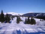 SKIALPINISMUS - zkladn kurz v Krkonoch, Pr foteek namchan z nkolika kurzk..... Zima se krt, tak nevhejte, zachli budeme vytahovat lod! - fotografie 13