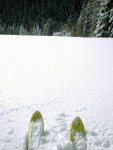 SKIALPINISMUS - zkladn kurz v Krkonoch, Pr foteek namchan z nkolika kurzk..... Zima se krt, tak nevhejte, zachli budeme vytahovat lod! - fotografie 36