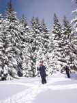 SKIALPINISMUS - zkladn kurz v Krkonoch, Pr foteek namchan z nkolika kurzk..... Zima se krt, tak nevhejte, zachli budeme vytahovat lod! - fotografie 41