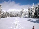 SKIALPINISMUS - zkladn kurz v Krkonoch, Pr foteek namchan z nkolika kurzk..... Zima se krt, tak nevhejte, zachli budeme vytahovat lod! - fotografie 75