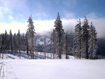 SKIALPINISMUS - zkladn kurz v Krkonoch, Pr foteek namchan z nkolika kurzk..... Zima se krt, tak nevhejte, zachli budeme vytahovat lod! - fotografie 76